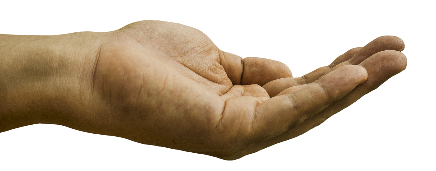 Auf dem Bild ist eine Hand abgebildet. Die Fünf-Finger-Methode, lernen Sie aus Ihrer Hand zu lesen.