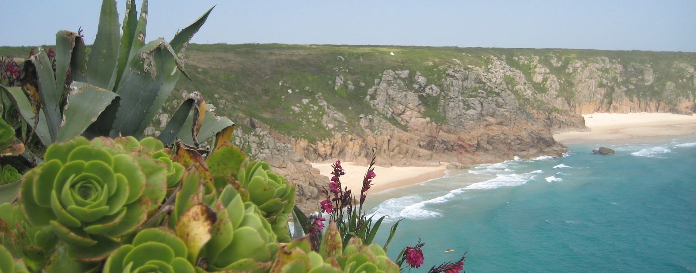 Auf dem Foto sieht man türkisblaues Meer, subtropische Pflanzen und eine Steilküste im Minack Theater England