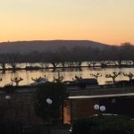 Aussicht aus meinem Zimmer, Blick auf den Rhein im Sonnenaufgang, mit Platanen und Auen