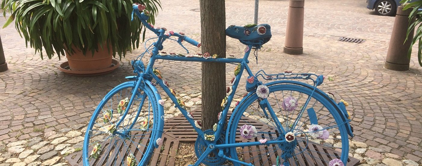 Auf dem Bild lehnt ein blaues Fahrrad an einem Baum